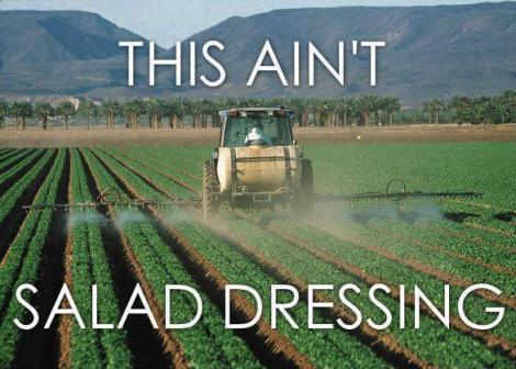 Salad Dressing?